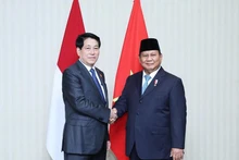 El presidente vietnamita, Luong Cuong, y su homólogo indonesio, Prabowo Subianto. (Foto: VNA)
