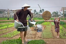 Turistas extranjeros en la aldea de vegetales de Tra Que, en la provincia central de Quang Nam. (Foto: VNA)