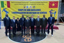 Delegados en la apertura de la final de la Copa Anual de Embajadores. (Foto: VNA)