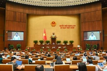 Parlamento de Vietnam debate políticas especiales para el desarrollo del sector privado y la elaboración de leyes
