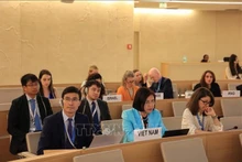 Representantes vietnamitas en la reunión (Fotografía: VNA)