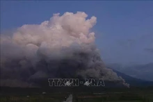El volcán Semeru entra en erupción siete veces en la mañana de hoy, arrojando cenizas a una altura de hasta mil metros (Foto: VNA)