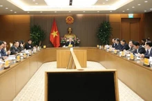 El panorama de la reunión. (Foto: VNA)