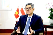 El embajador indonesio en Vietnam, Denny Abdi. (Foto: VNA)