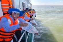 Los alevines de camarón son liberados al mar en la provincia sureña de Bac Lieu. (Foto: VNA)