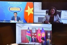 El viceministro de Relaciones Exteriores, Pham Quang Hieu, sostuvo conversaciones en línea con la viceministra de Relaciones Exteriores y Cooperación de Namibia, Jenelly Matundu. (Fotografía: VNA)