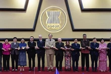 Delegados en la octava Reunión del Comité de Cooperación Sectorial Asean-Noruega (Fotografía: asean.org)