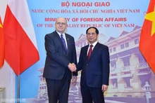 El ministro de Relaciones Exteriores, Bui Thanh Son, y su homólogo polaco, Zbigniew Rau (Fotografía: baoquocte.vn)
