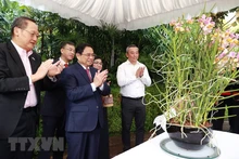 Premier vietnamita asiste a ceremonia de nombramiento de orquídeas en Jardín Botánico de Singapur 