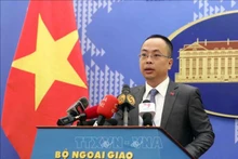 El portavoz adjunto de la Cancillería Doan Khac Viet (Fotografía: VNA)