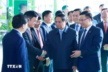 [Foto] Premier vietnamita asiste a conferencia para definir las tareas de la industria de petróleo y gas para 2025
