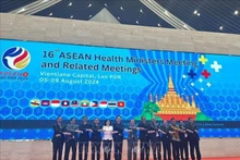 Los delegados toman fotos en la 16 Reunión de Ministros de Salud de la Asean y citas relacionadas (Foto: VNA)