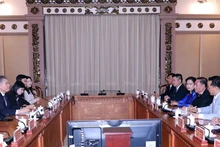 El panorama de la reunión. (Foto: VNA)