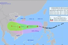 Se pronostica que el tifón Noru toque tierra en el centro de Vietnam el 27 de septiembre. (Fotografía: VTV)