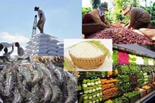 Foto ilustrativa (Fuente: vneconomy.vn)
