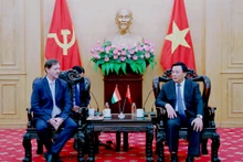 En la reunión entre el director de la Academia Nacional de Política Ho Chi Minh y presidente del Consejo Teórico Central, Nguyen Xuan Thang,y el embajador de Hungría, Baloghdi Tibor (Foto: hcma.vn)