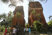 Las Torres Gemelas en Quy Nhon (Foto: VNA)