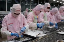 Procesamiento de camarón para la exportación (Fotografía: Vietnam+)