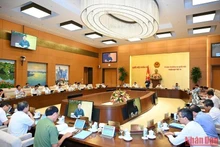 Panorama del evento. 