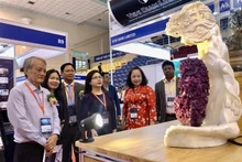Visitantes aprecian los productos en la exposición. (Foto: VNA)