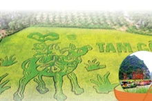 Amplias actividades en la Semana de Turismo de Ninh Binh 2024
