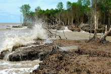 Aumenta la intrusión de salinidad en el estuario del Mekong. (Fotografía: VNA)