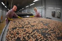 Congelación de camarón para exportación del grupo Minh Phu Seafood. (Foto: VNA)