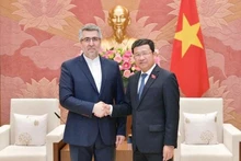 El jefe de la Comisión de Relaciones Exteriores de la Asamblea Nacional de Vietnam, Vu Hai Ha, recibe al embajador iraní, Ali Akbar Nazari. (Fotografía: VNA)
