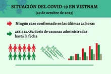 Infografía: Actualización sobre la situación del Covid-19 en Vietnam - 29 de octubre de 2023