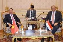 El vicepresidente de la ANV Nguyen Duc Hai y Ahmed Saad El-Din Mohamed Abd El-Rehim, primer vicepresidente de la Cámara de Representantes de Egipto. (Fotografía: VNA)
