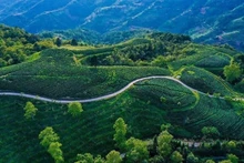 Colina de té en la comuna de Thanh Cong, distrito de Nguyen Binh, Cao Bang.