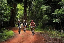 Turistas internacionales exploran la Reserva Cultural y Natural de Dong Nai en bicicleta. (Fotografía: VNA)