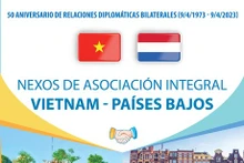 Nexos de asociación integral Vietnam-Países Bajos