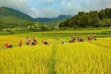 Binh Lieu conquista a turistas con su belleza natural y valores culturales