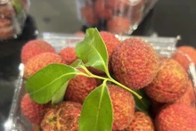 Lichi vietnamita sin semillas se vende en el Reino Unido. (Fotografía: VNA)