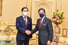 El sultán de Brunei, Haji Hassanal Bolkiah(izquierda), recibe al canciller vietnamita, Bui Thanh Son. (Fotografía: baoquocte.vn)