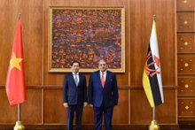 El canciller de Vietnam, Bui Thanh Son (izquierda), y el segundo ministro de Relaciones Exteriores de Brunei, Darussalam Dato Erywan Pehin Yusof. (Fotografía: baoquocte.vn)