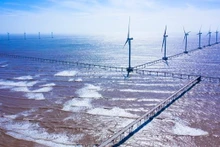 Postes de energía eólica de la central eólica Dong Hai I. (Foto: VNA)