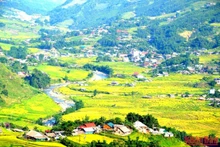 En su esplendor la belleza de las terrazas de arroz de Sapa 