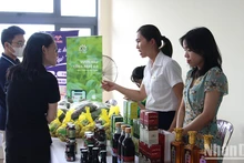 Buscan más capital de inversión para empresas emergentes en Vietnam