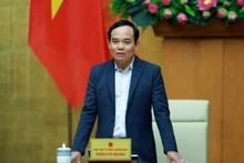 El viceprimer ministro Tran Luu Quang, jefe del grupo de trabajo (Fotografía: VNA)