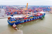 Puerto de Hai Phong recibe primer barco propulsado por gas natural licuado. (Foto: haiquanonline.com.vn)