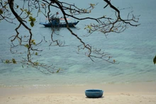 Belleza salvaje de la isla de Son Cha en Da Nang con gran potencial para el ecoturismo