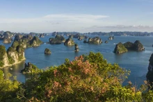 La majestuosa belleza de la bahía vietnamita de Bai Tu Long