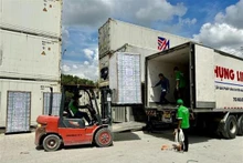 La empresa vietnamita de Tra Vinh FARM (Sokfarm) exporta el primer lote de unos 200 mil botellas de néctar de coco a Estados Unidos. (Fotografía: VNA)