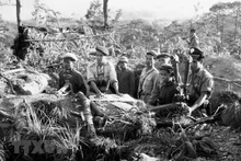 Voluntarios vietnamitas y soldados de Laos (Fotografía: VNA)