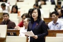 La ministra de Salud Pública, Dao Hong Lan, en la reunión (Fotografía: VNA)