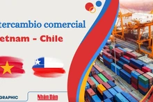 Vietnam registra superávit comercial con Chile de 1,05 mil millones de dólares 