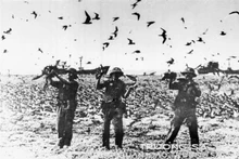 [Foto] Liberación del archipiélago de Truong Sa, una hazaña estratégica en la liberación del Sur y la reunificación del país