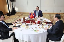 El panorama de la reunión. (Fotografía: VNA)
